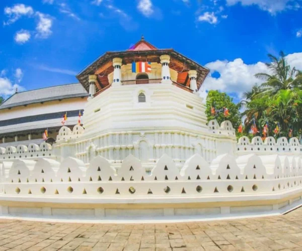 🌴 3 Days Sri Lanka Tour – Culture, Nature & Heritage