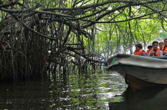 🌴 3-Day Sri Lanka Beach Tour – Colombo → Bentota → Mirissa